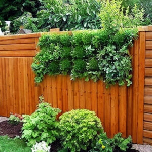 Garden Ideas Fence